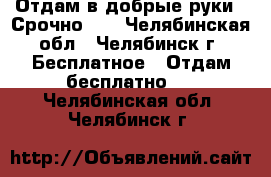 Отдам в добрые руки!!!Срочно!!! - Челябинская обл., Челябинск г. Бесплатное » Отдам бесплатно   . Челябинская обл.,Челябинск г.